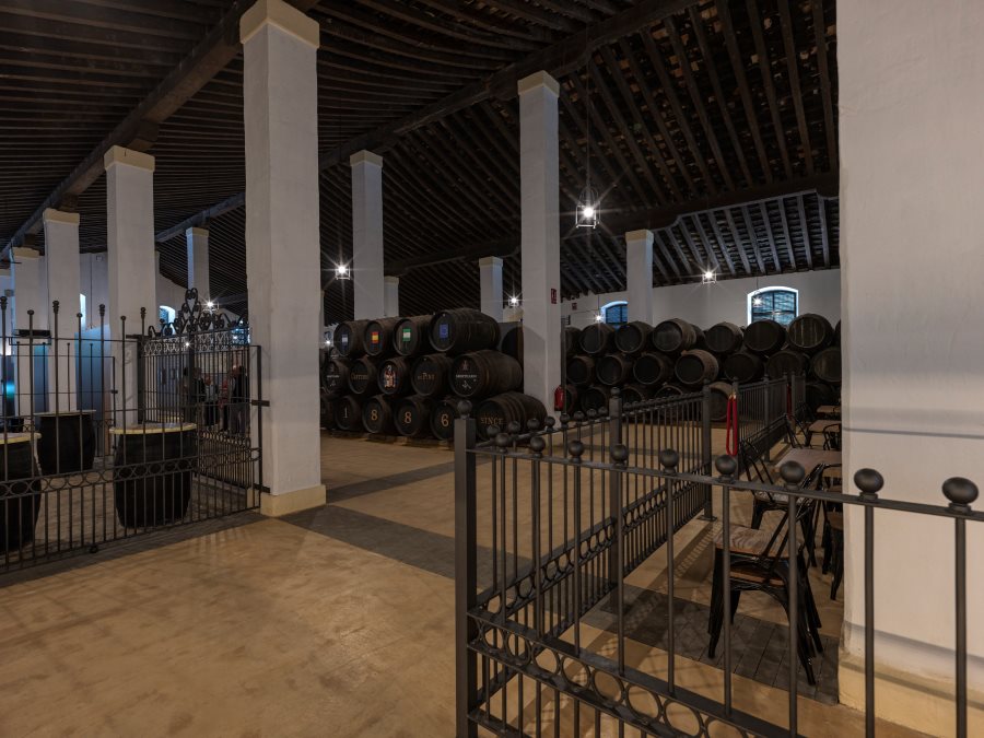 Cata con flamenco en Bodegas Cayetano del Pino