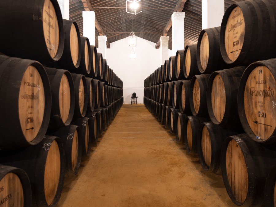 Interior Bodegas Álvaro Domecq Jerez