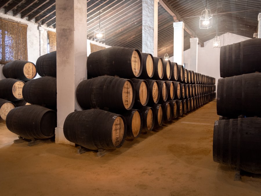 Descubre los secretos del jerez