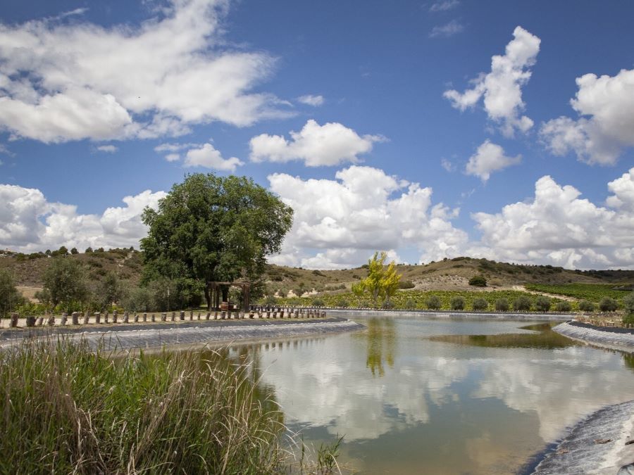 Lago Bodegas Val Azul