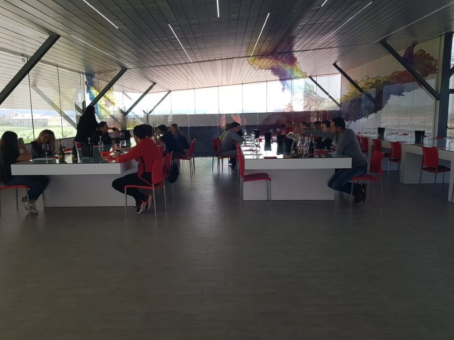 Enoturismo Cepa de Pelayo