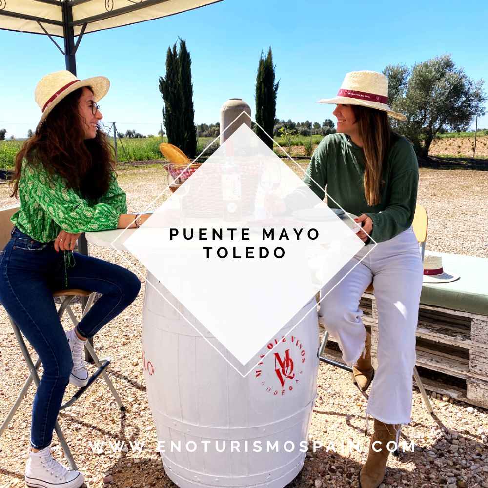 Bodegas Más Que Vinos: Cata y Picnic en Bodega 