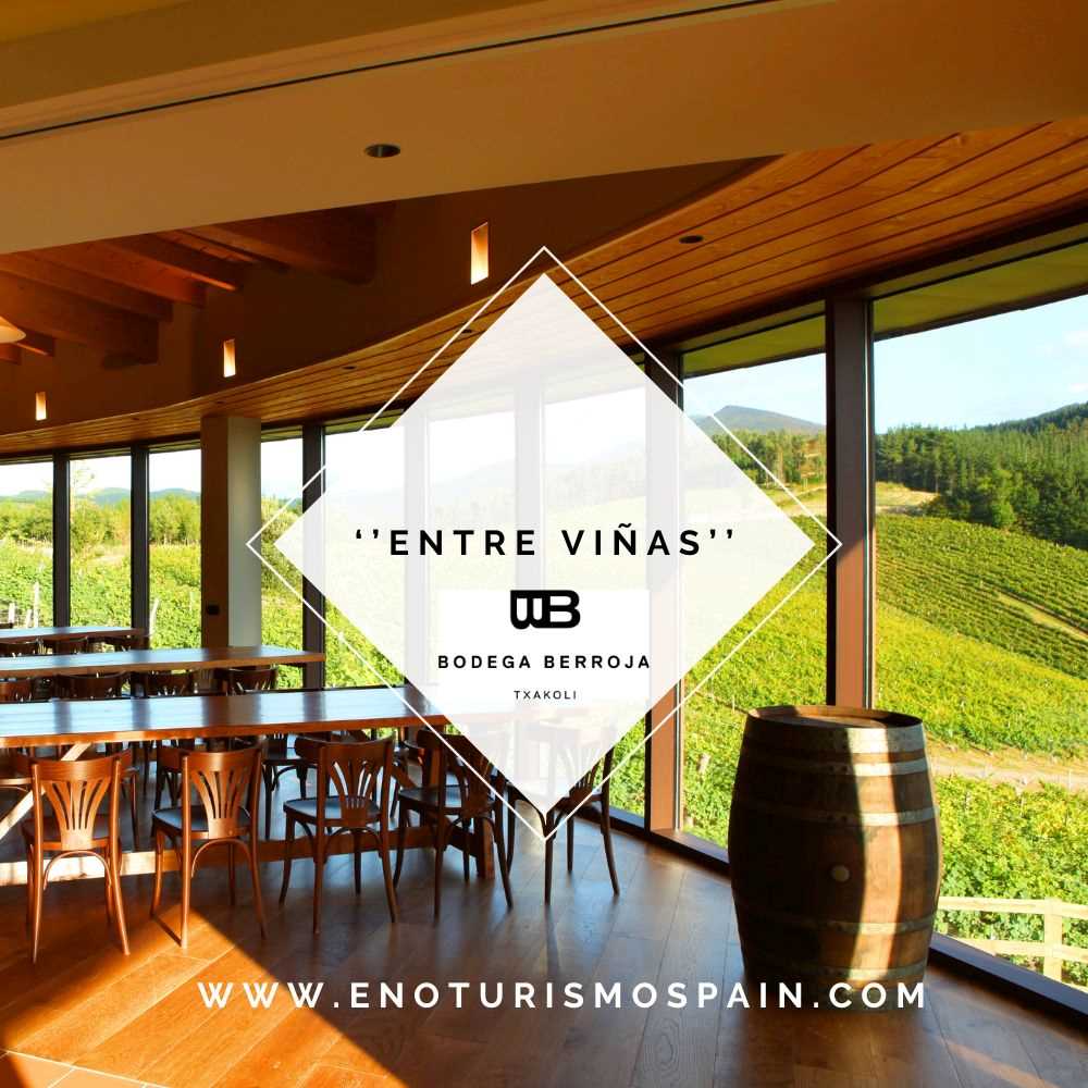 Mirador Bodegas Berroja para cata de Txacoli en Bizkaia