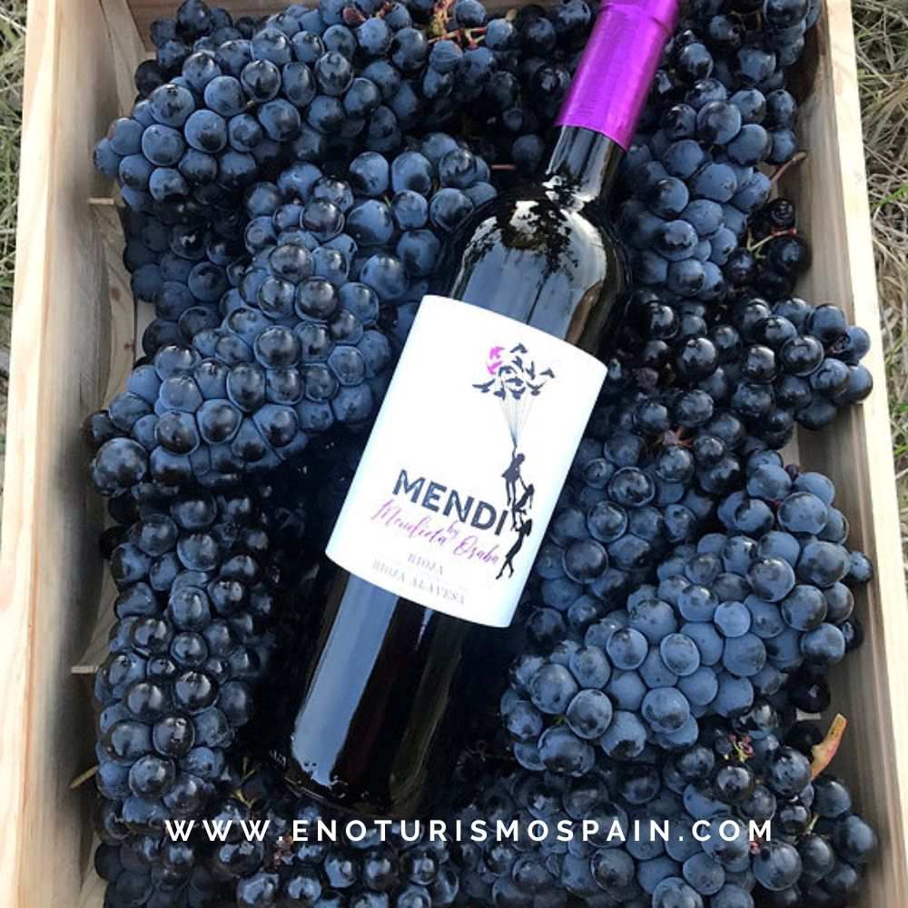 Mendieta Osaba Wines Triunfa con su Tinto Joven en los Premios Vendimia Rioja Alavesa 2024