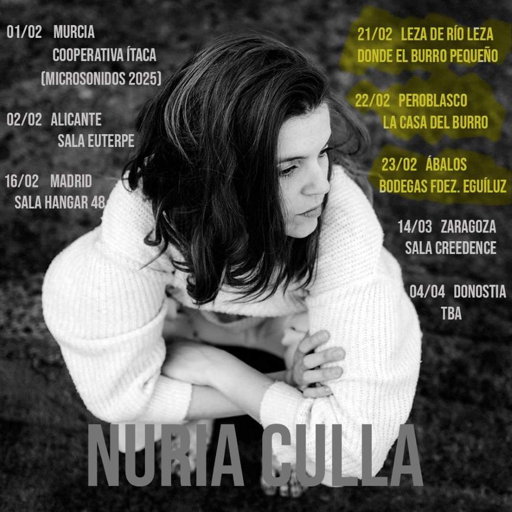 Concierto de Nuria Culla en Bodegas Fernández Eguíluz: Música y Vino en Perfecta Sintonía