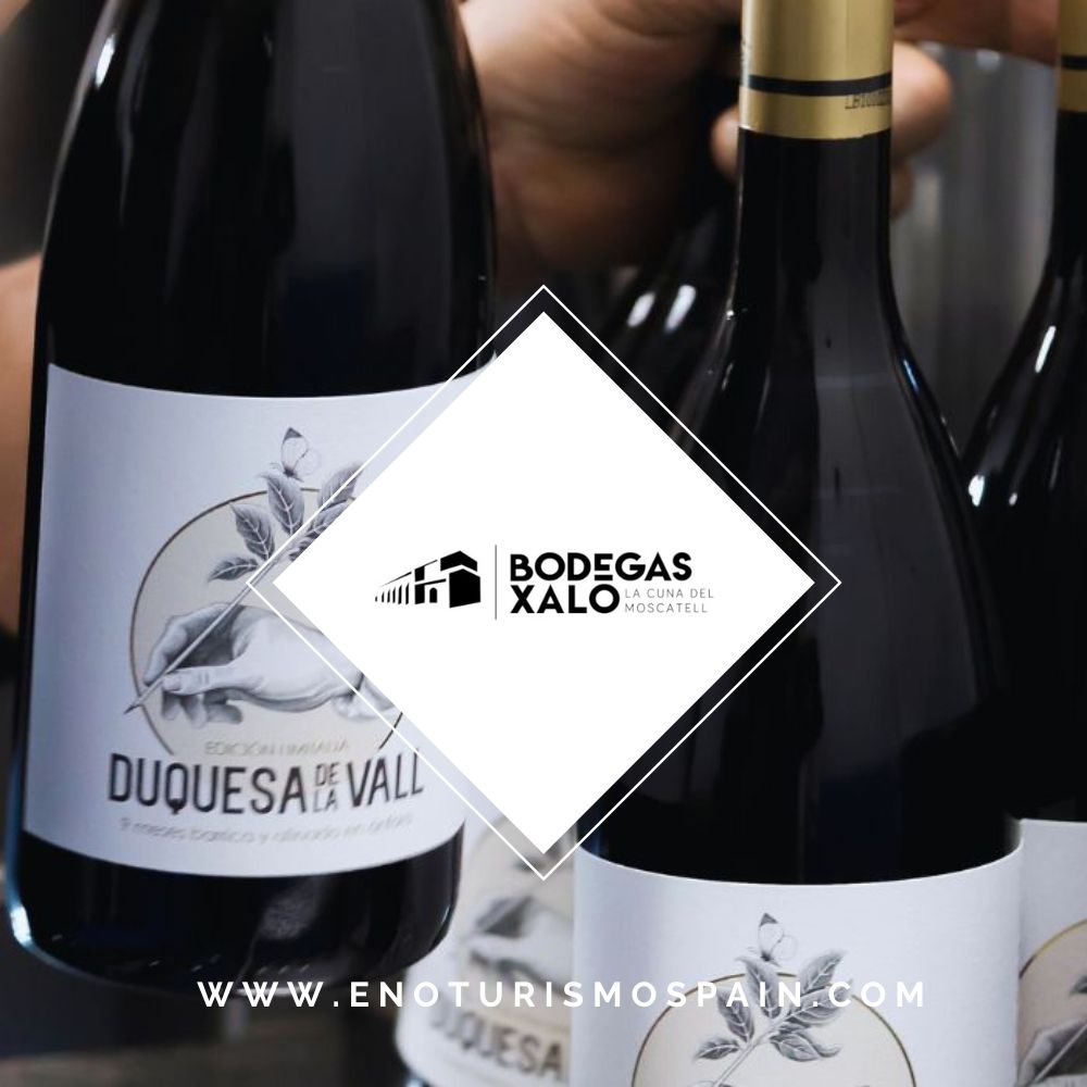 Descubre Duquesa de la Vall Crianza: El Tesoro de Bodegas Xaló