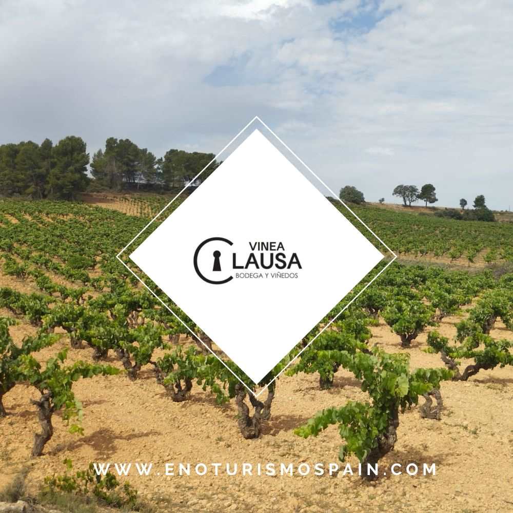 Enoturismo en el Corazón de Utiel Requena con Vinea Clausa.