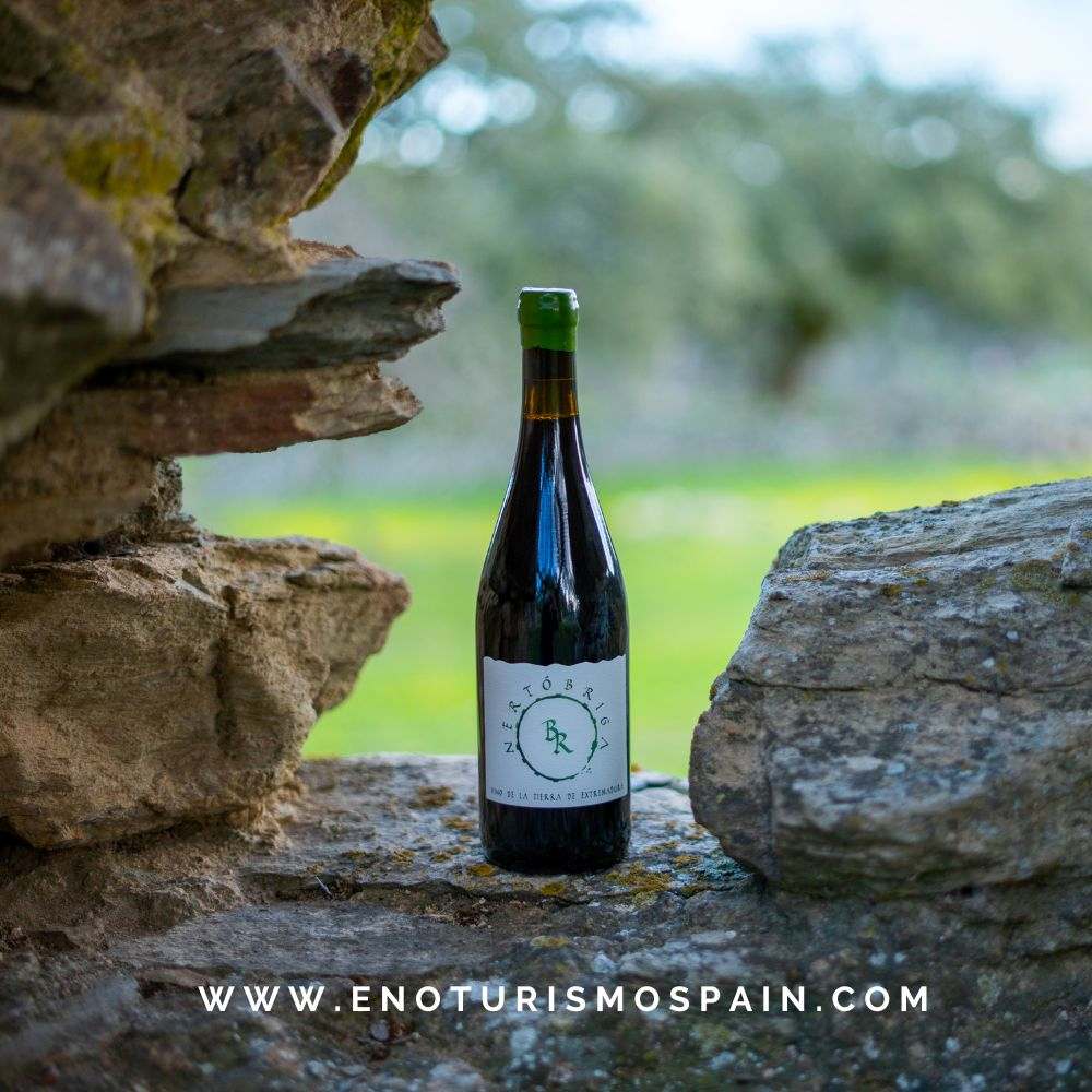 Redescubre la gastronomía Romana con Bodegas Regajo este sábado en Cabeza de la Vaca (Badajoz)