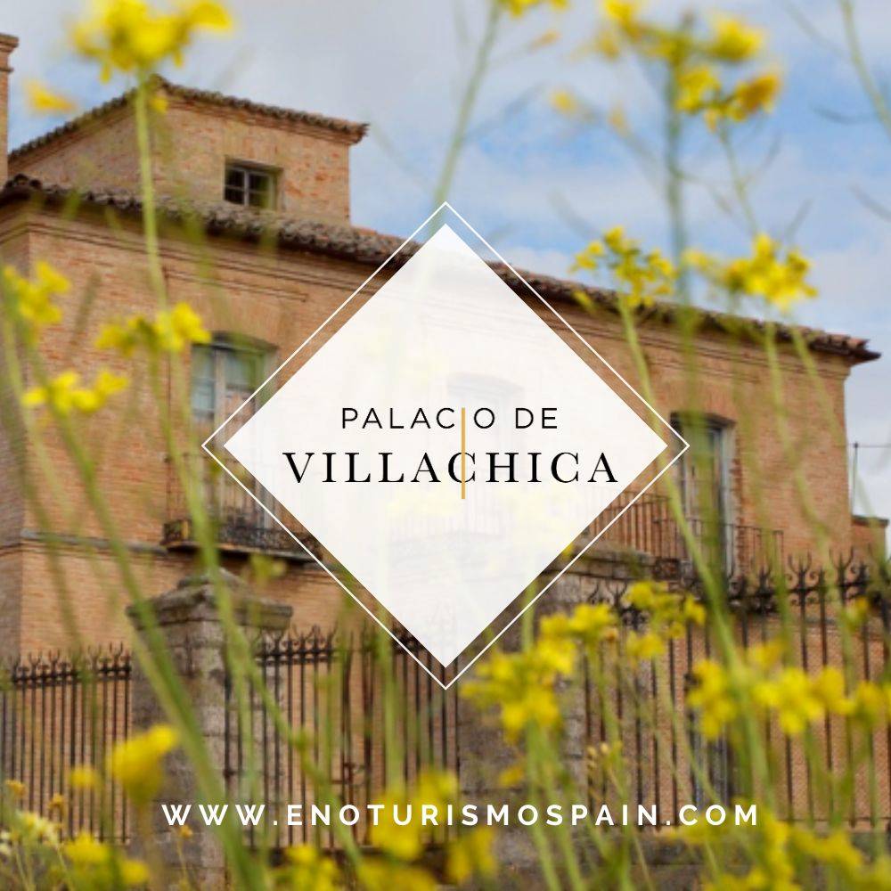 Vino y Yoga entre Barricas en Bodegas Palacio de Villachica.
