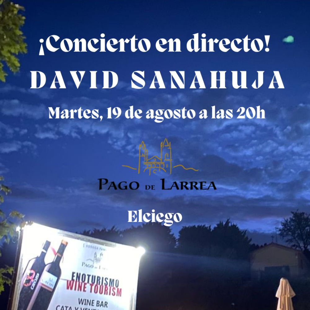 Concierto al Atardecer con David Sanahuja en el Vinobar de Caecus