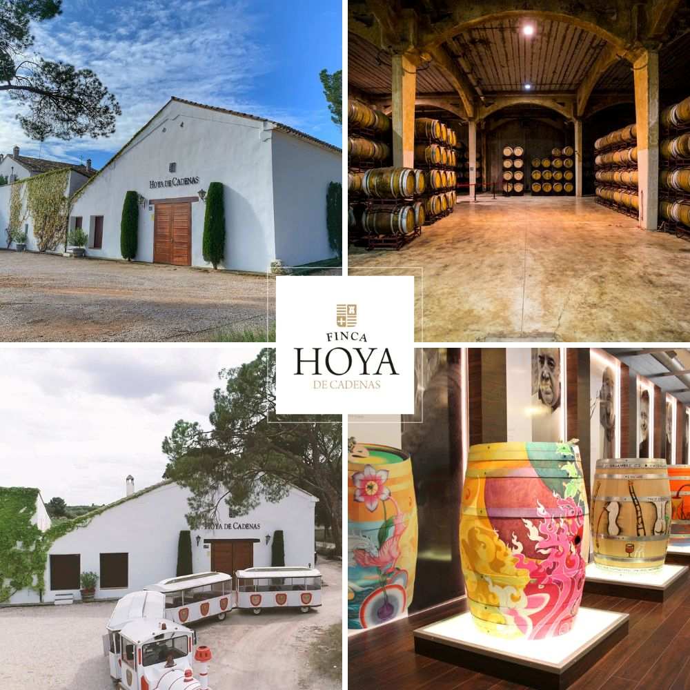 Wine Tourism with Art, History and Wine