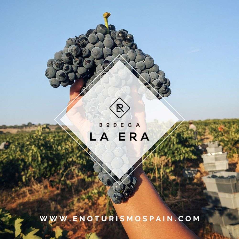 Descubre los secretos de la vendimia el día 6 de septiembre en Bodega La Era