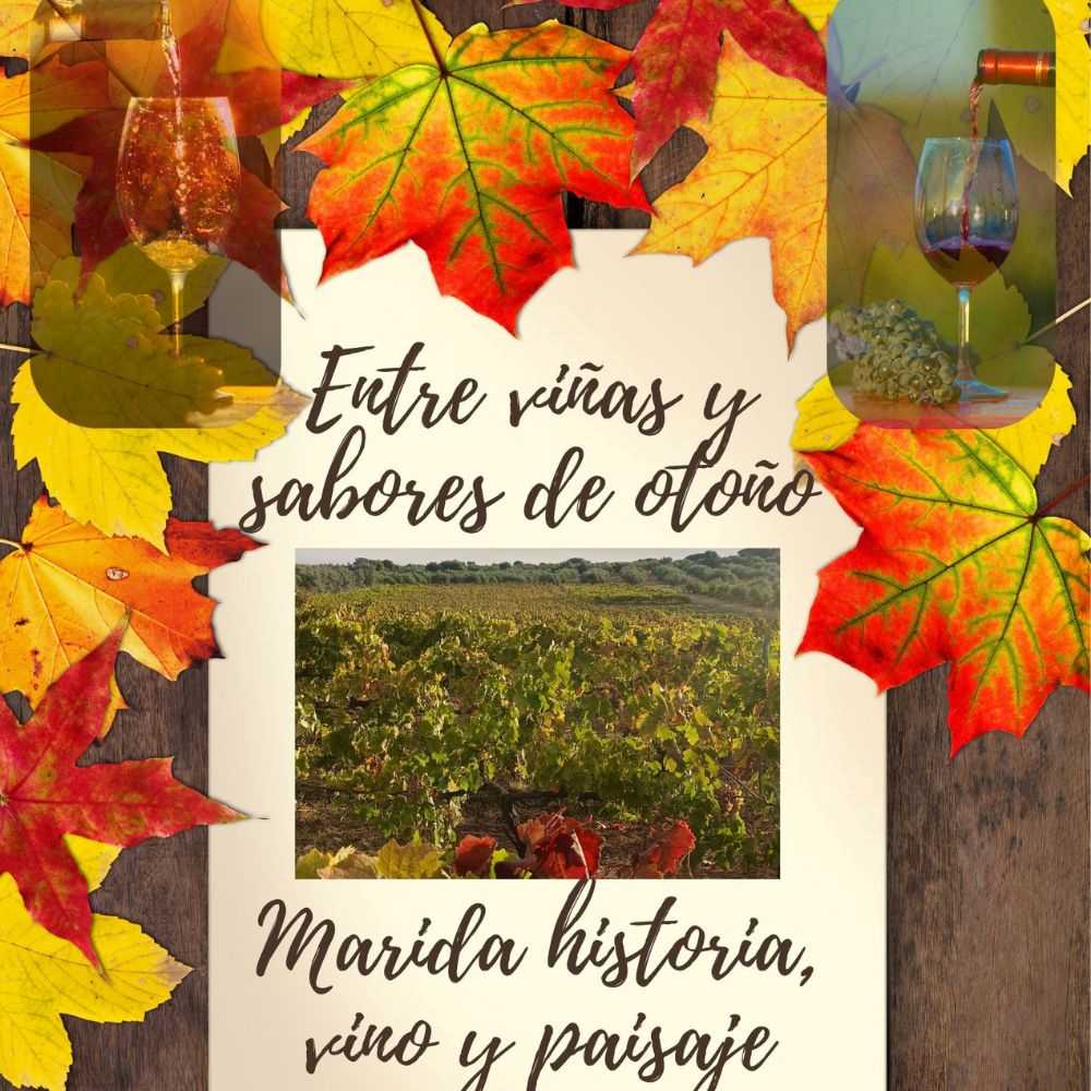 Autumn Flavors Among the Vines at Regajo Wineries