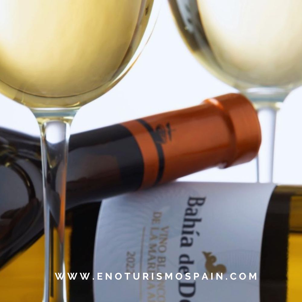 Bodegas Xaló 2025: Vinos Premiados y Experiencias en la Marina Alta