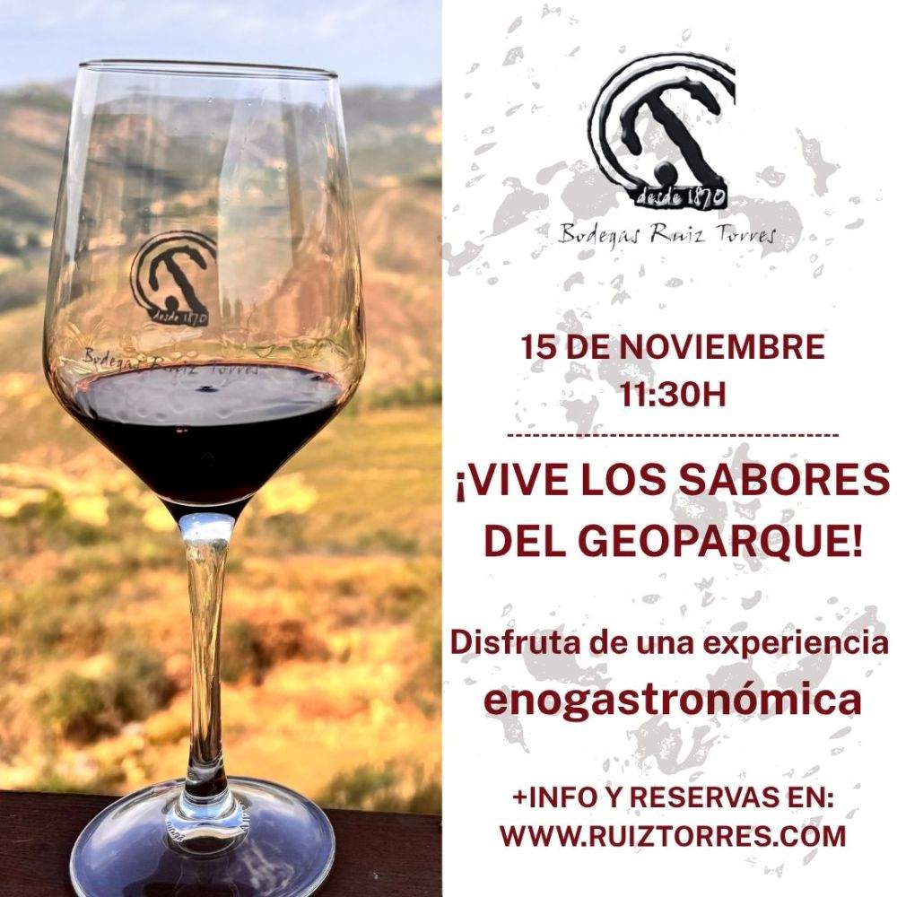 Wine Pairing Tasting at Bodegas Ruiz Torres