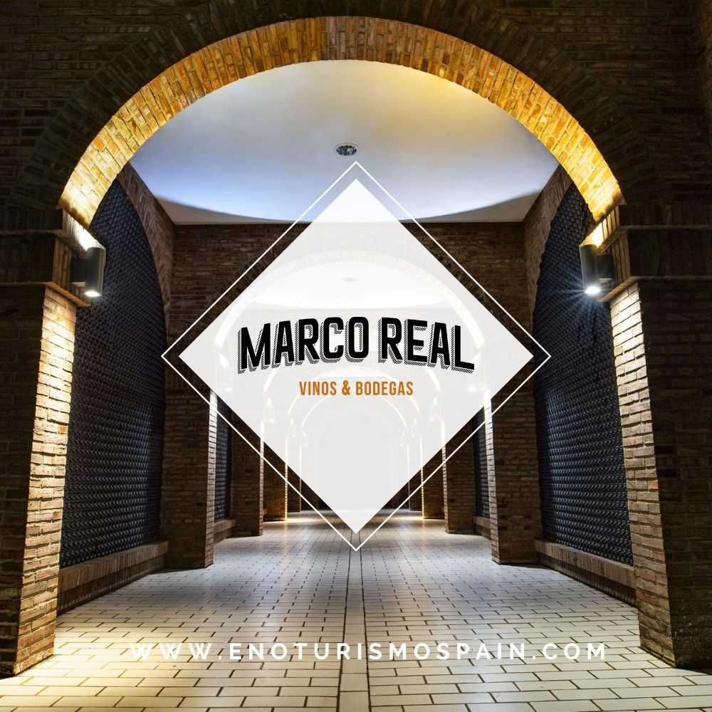 Nuevas visitas entre semana en Bodegas Marco Real durante noviembre y diciembre