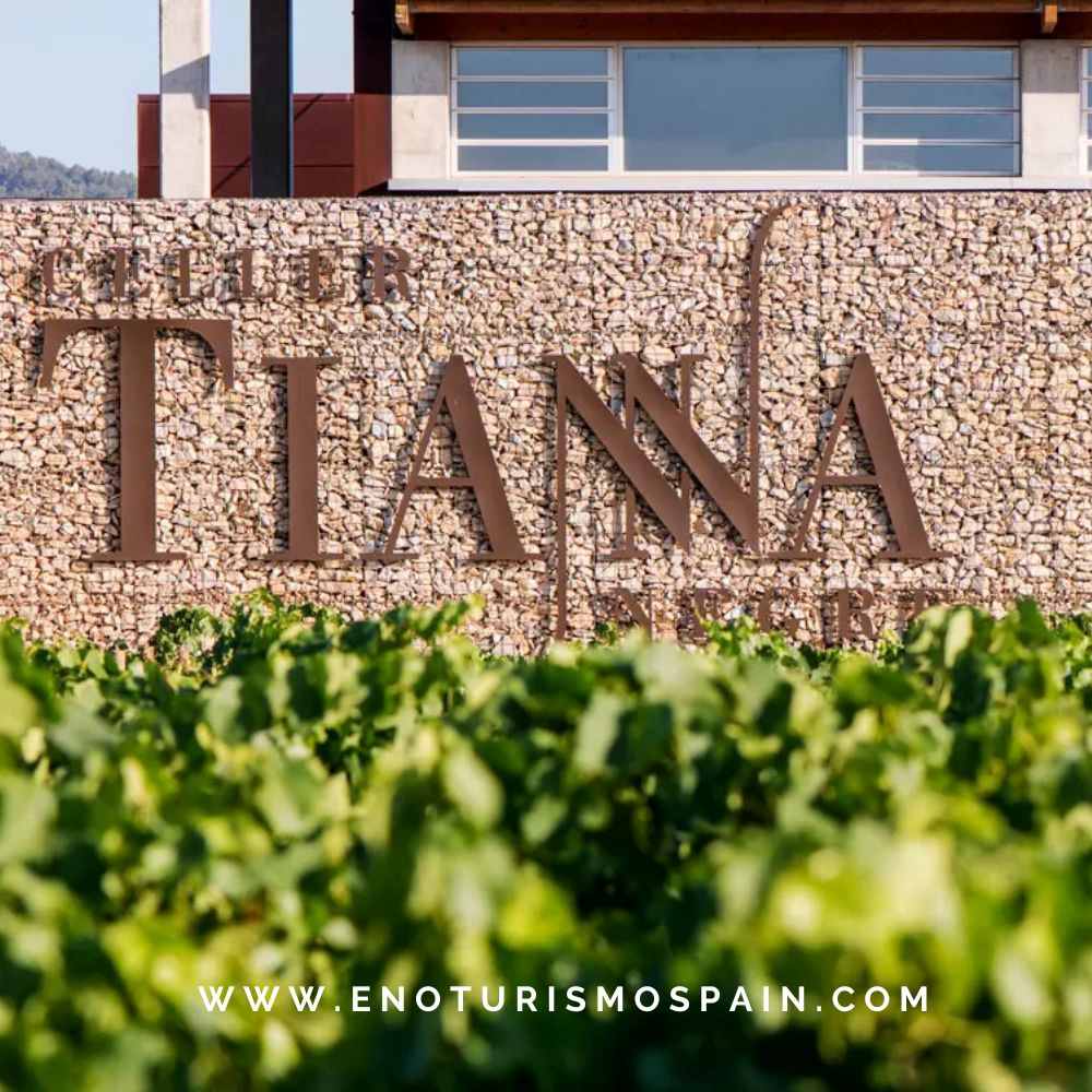 Comienzan los cupajes de blancos y rosados en Celler Tianna Negre