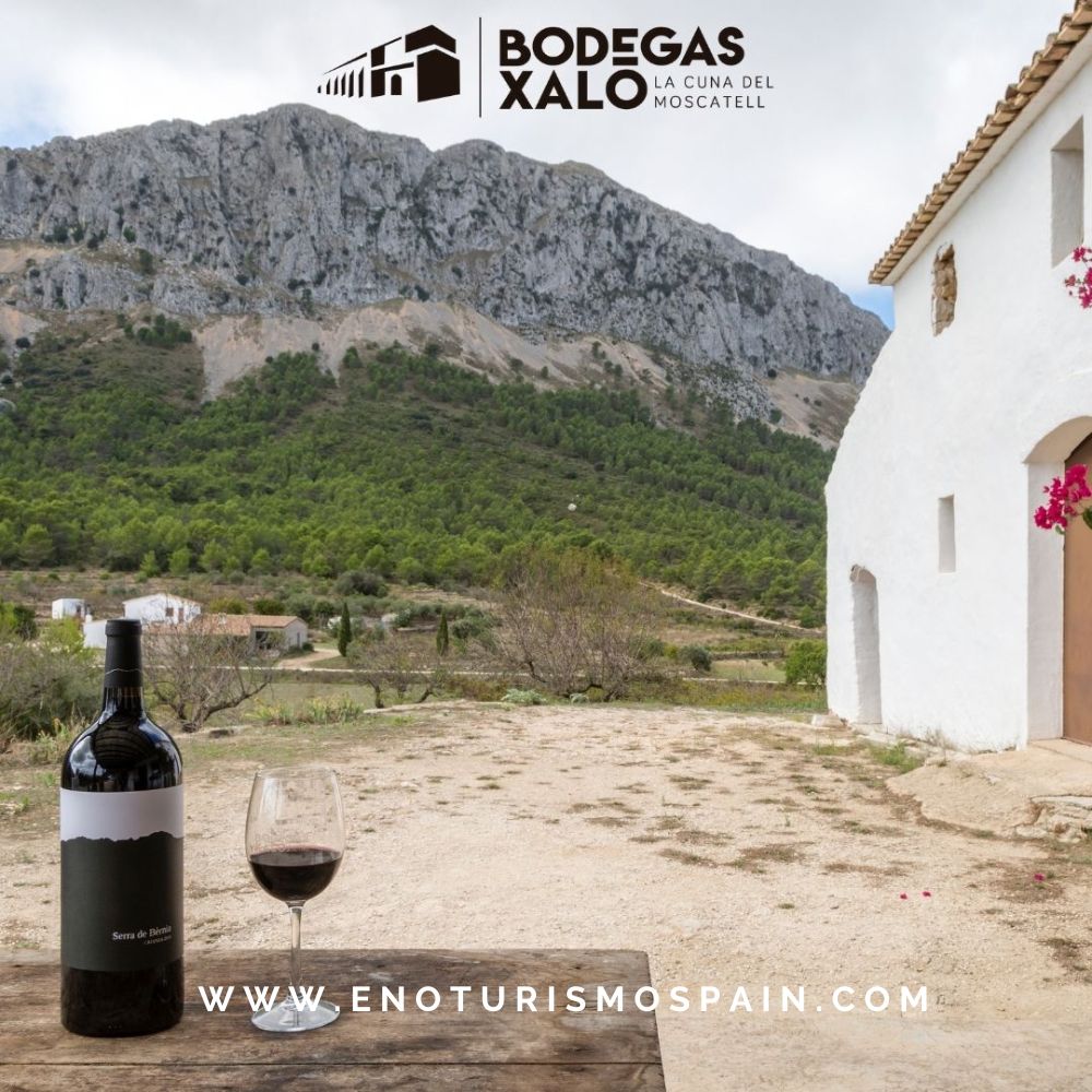 Gama de tintos Crianza de Bodegas Xaló: Maduración en roble y carácter mediterráneo