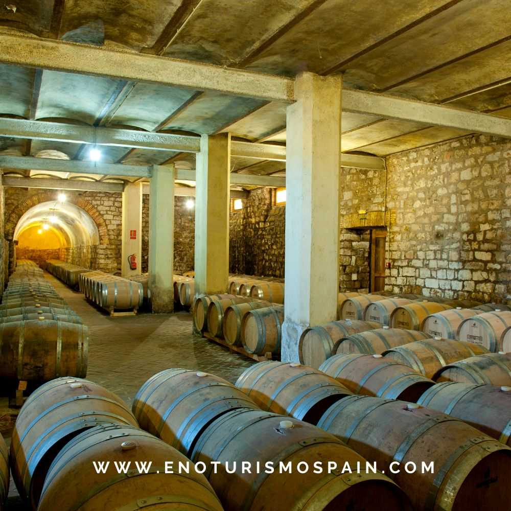 Bodega Marqués de Montecierzo: un destino imprescindible en la Ribera del Ebro