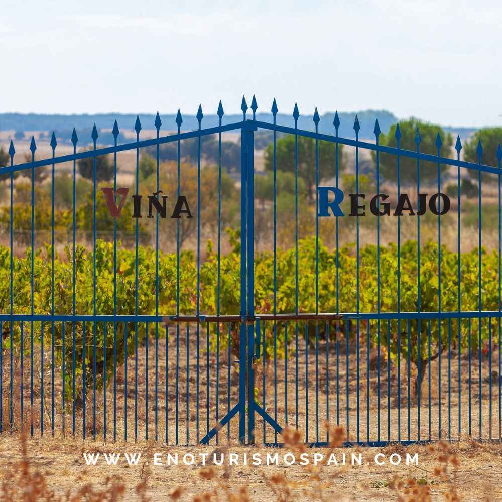 Bodegas Regajo participa en el Mercado de Productos Locales de Badajoz
