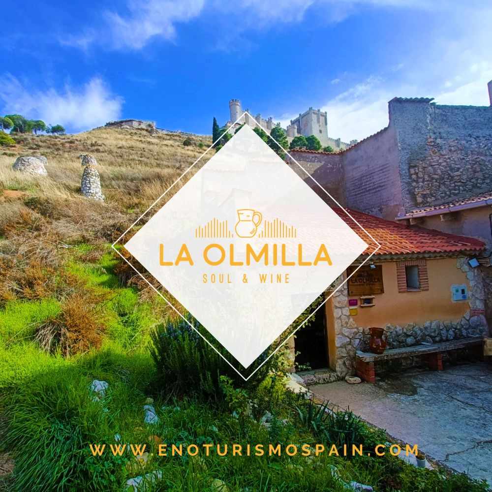 Bodegas La Olmilla presenta su agenda de actividades para Mayo