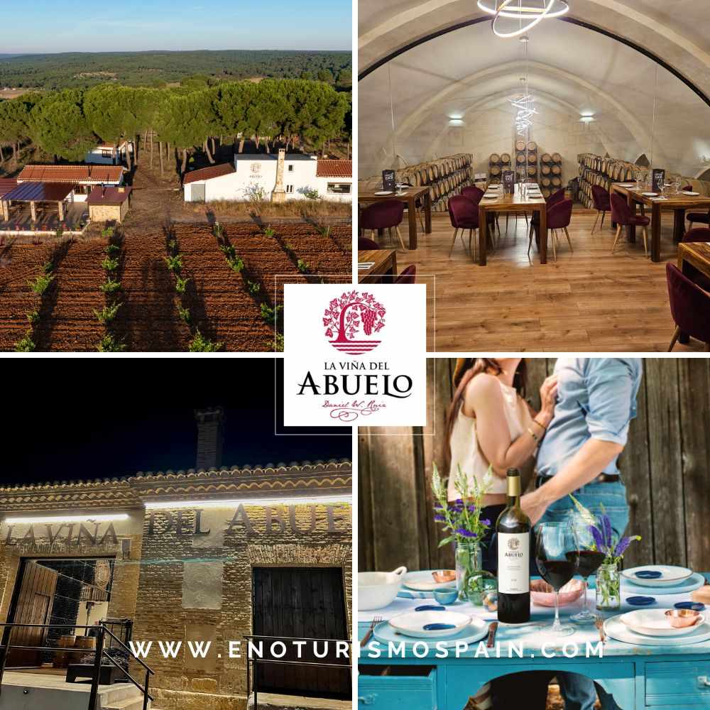Lunch and Winery Visit at La Viña del Abuelo