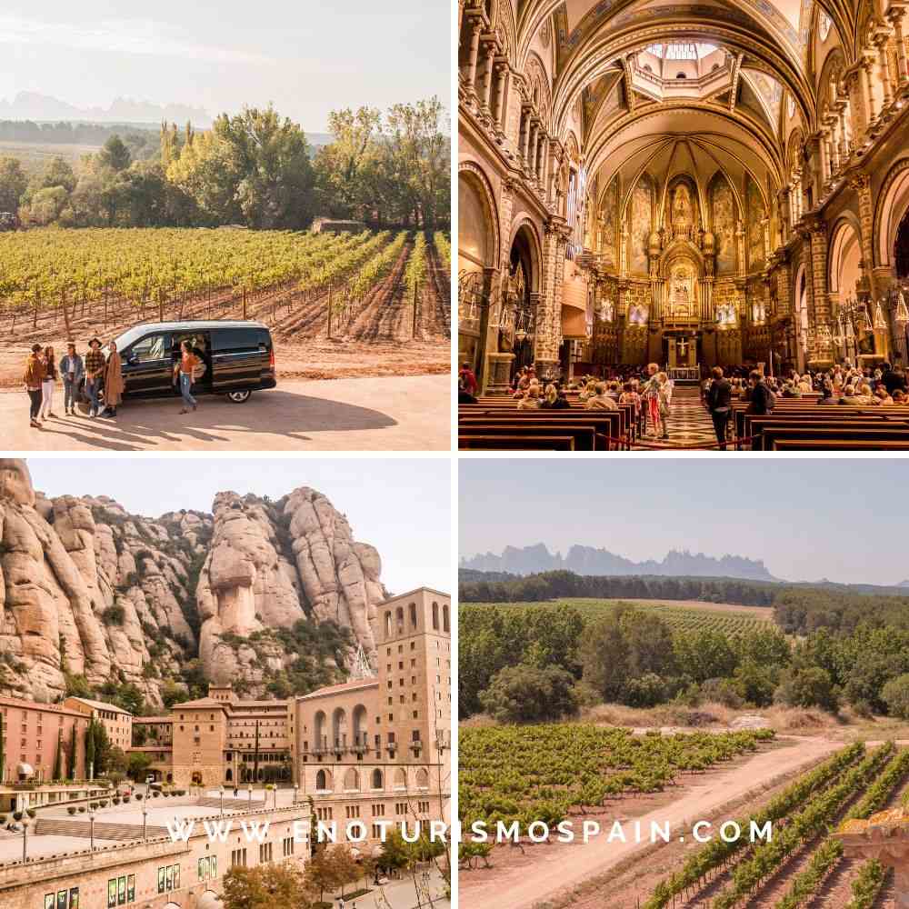 Montserrat & Wine with VIP Winery Experience