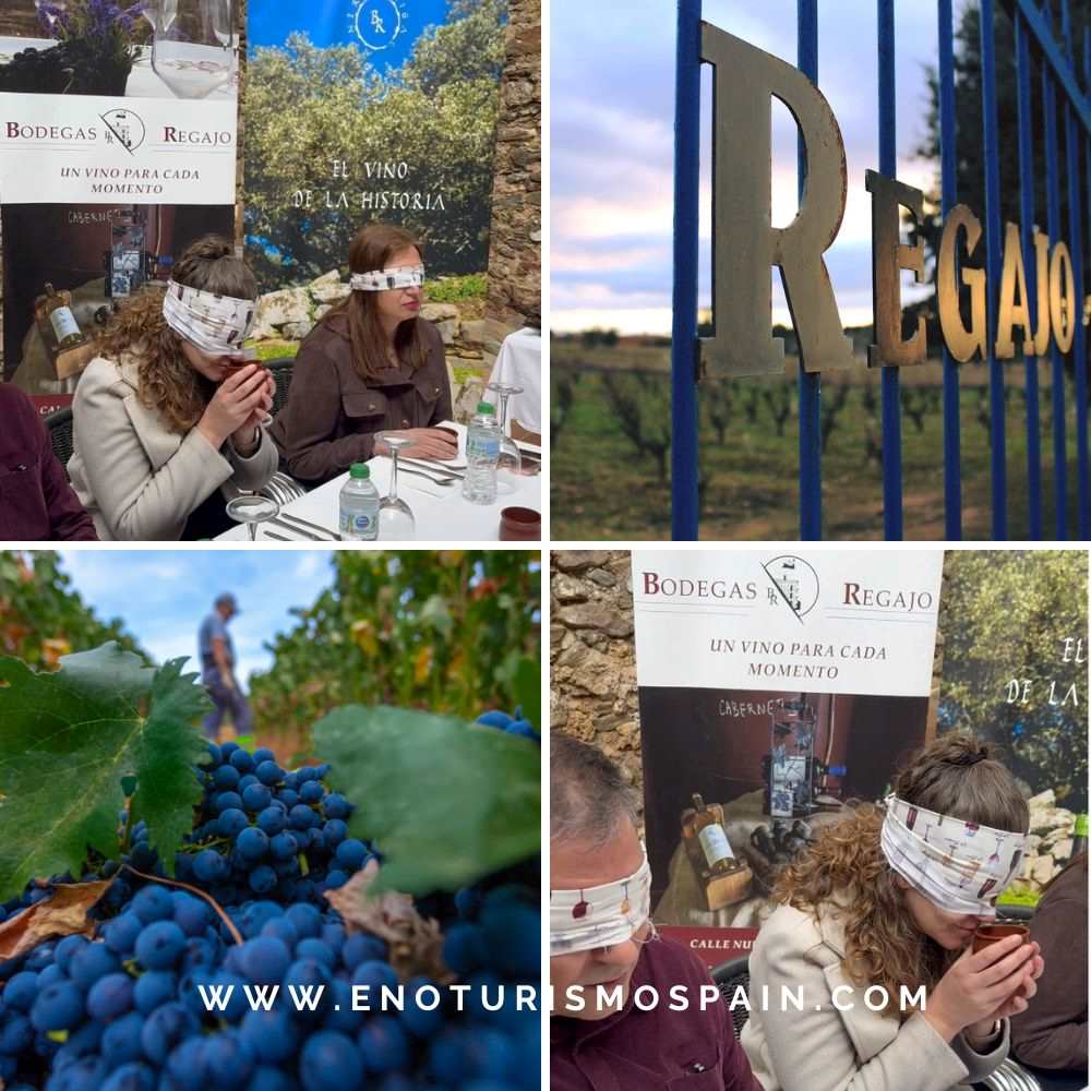 Blind and Clandestine Tasting Bodegas Regajo