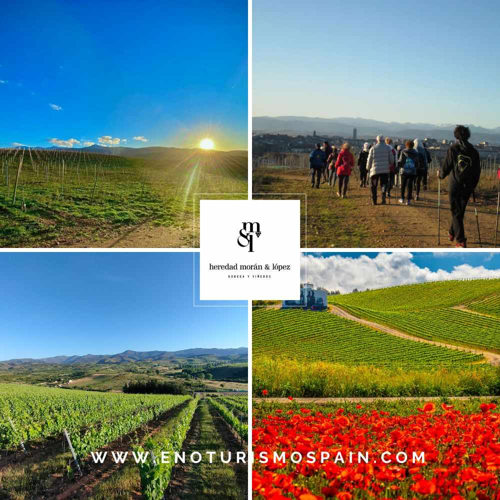 Wineries of El Bierzo - Heredad Morán & López