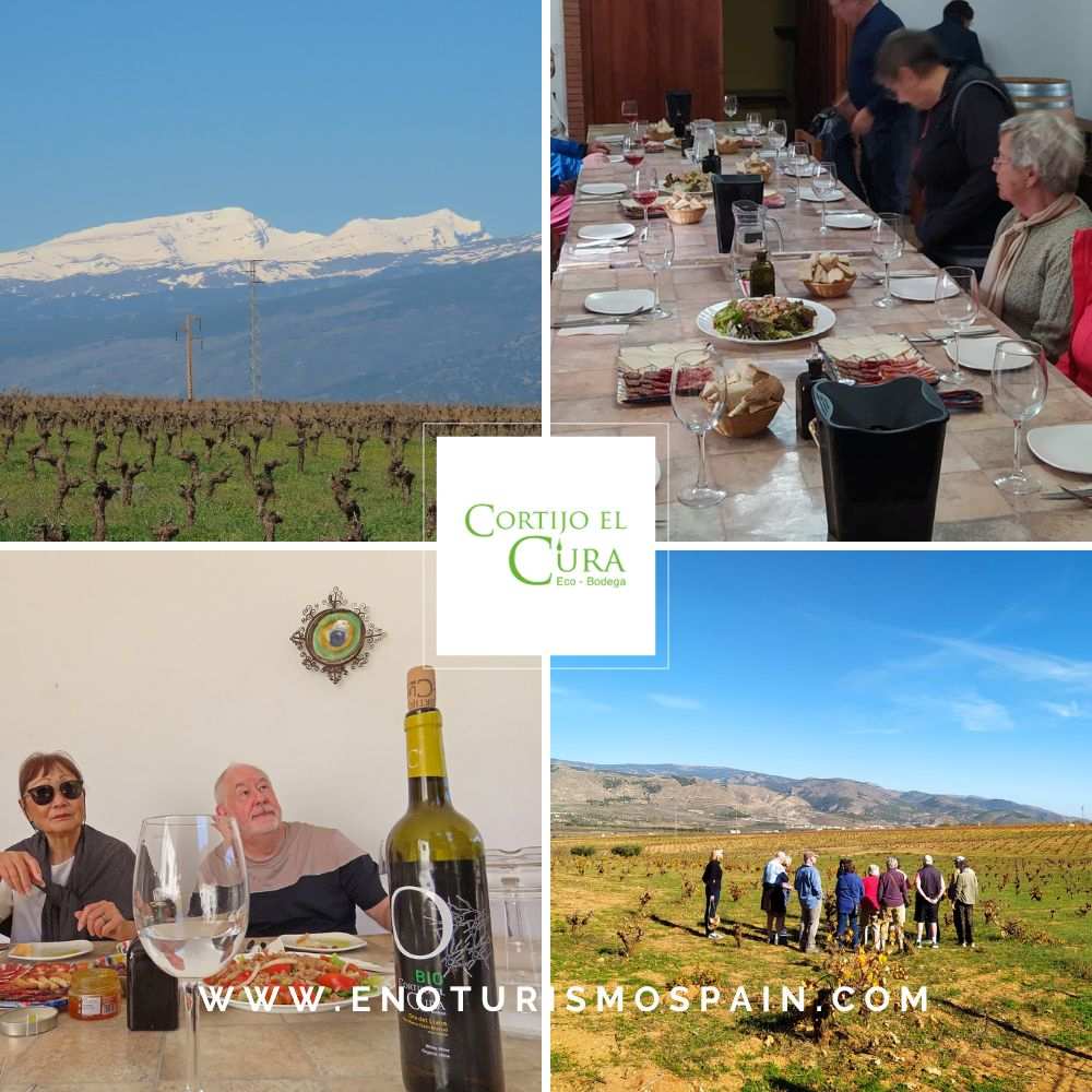 Cortijo El Cura lanza una nueva experiencia con visita guiada, cata de cinco vinos y almuerzo