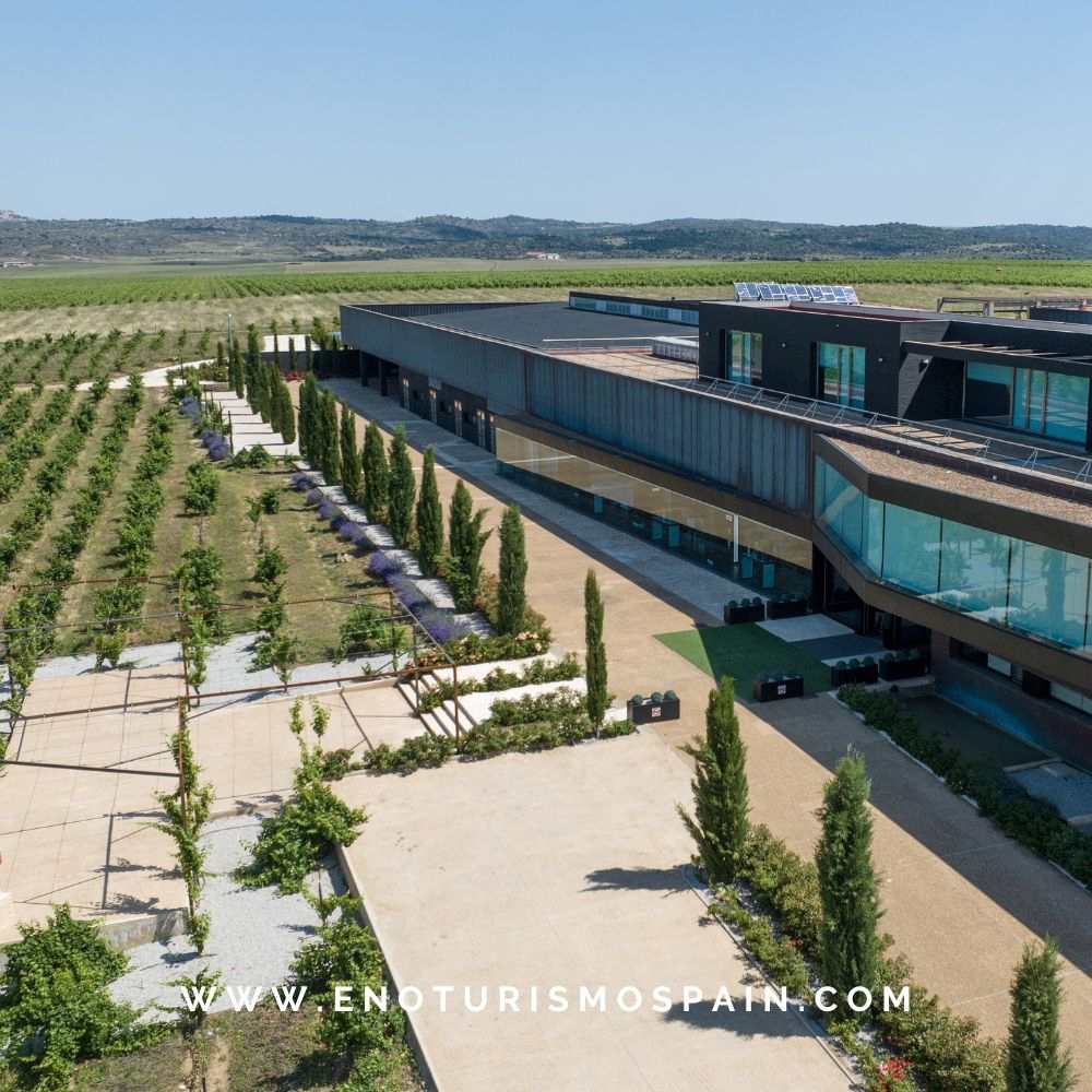 Mejor Bodega 2026 según Guía Gourmets