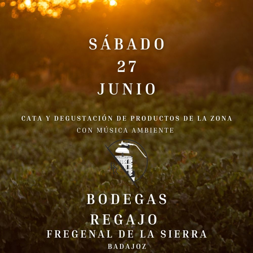 Bodegas Regajo: cata, degustación y música al atardecer en el viñedo