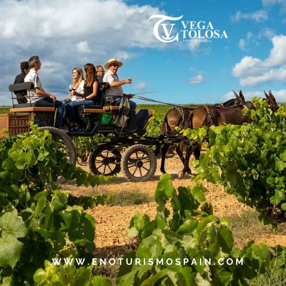 Vega Tolosa, Mejor Bodega en los Premios Nacionales de Turismo Rural 2026