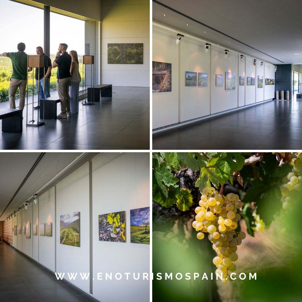 Los Paisajes de Valdeorras: Exposición de Fotografía en Pago de los Capellanes.