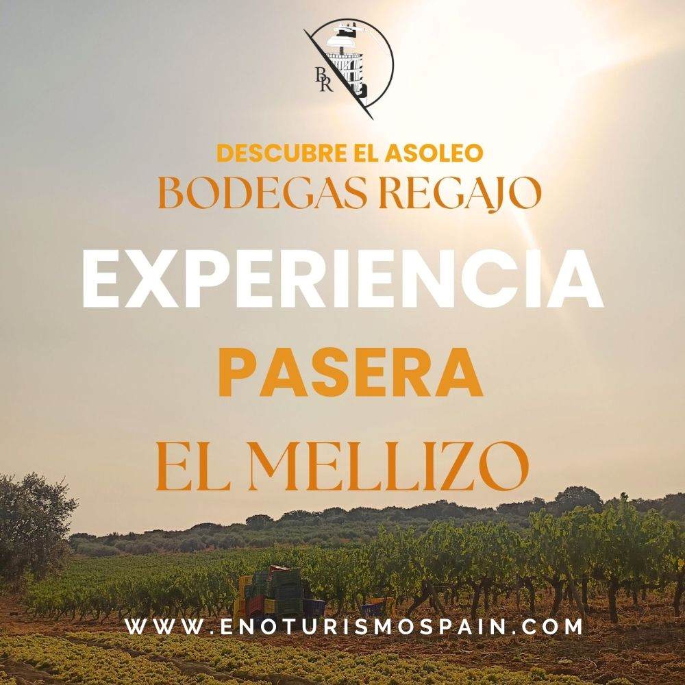 La Pasera de Bodegas Regajo, Extremadura