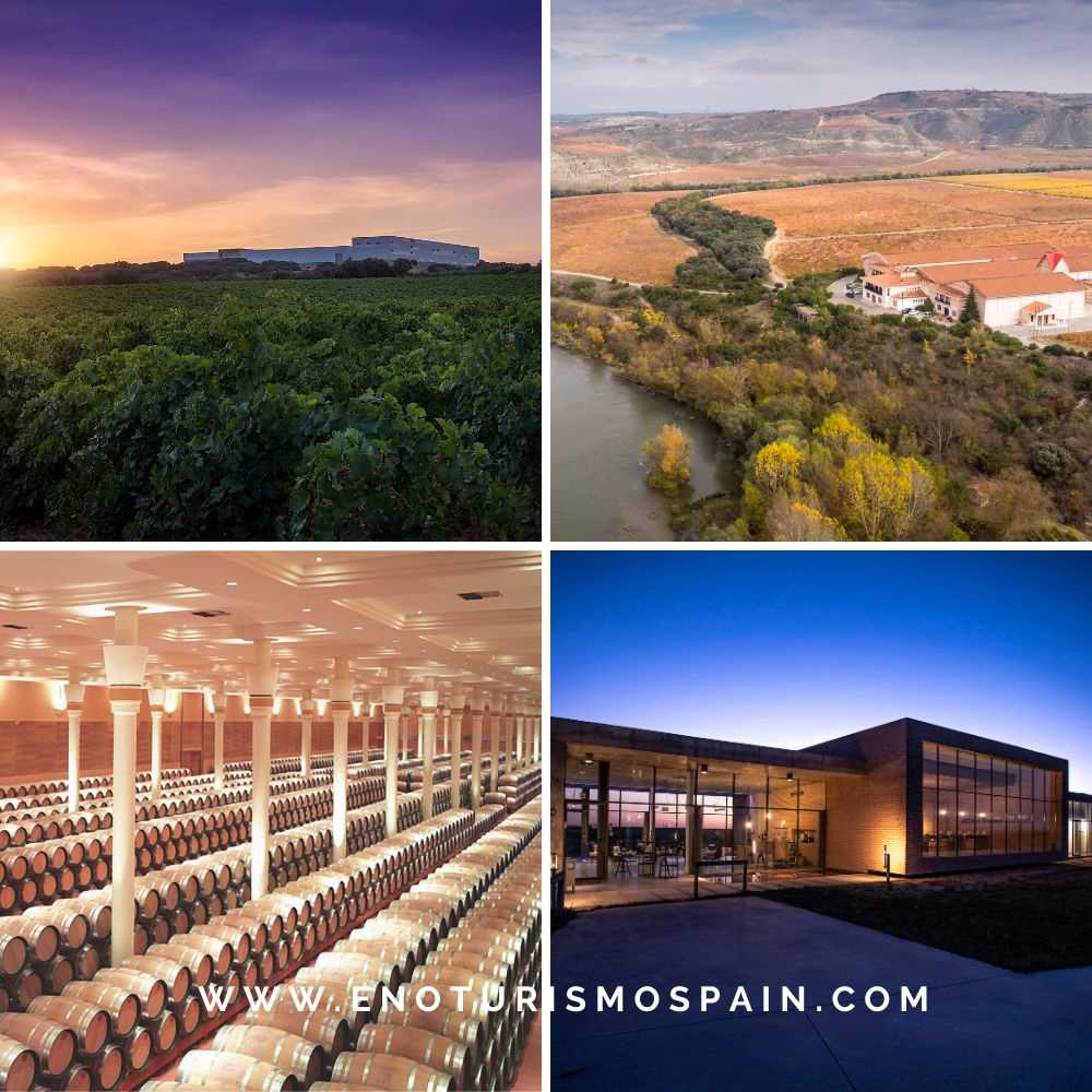 Vendimia 2026 en Familia Martínez Bujanda: actividades en tres bodegas