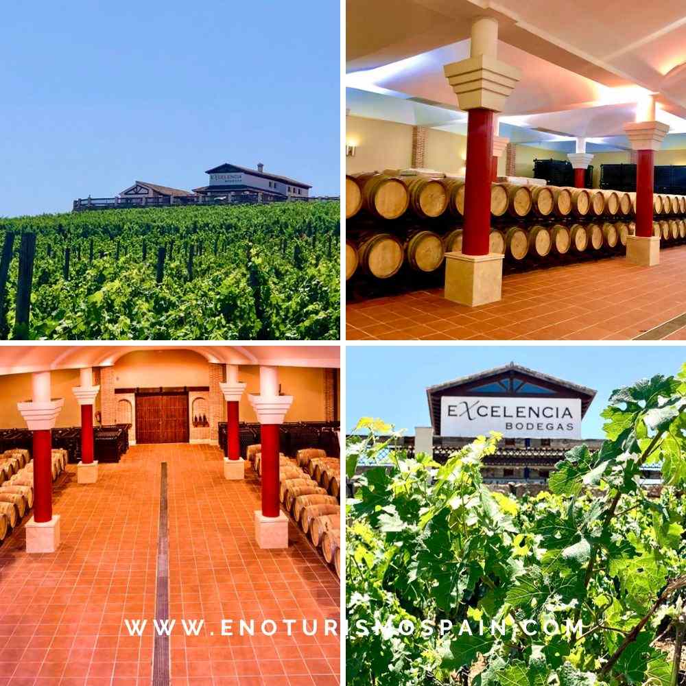 Bodegas Excelencia: visitas guiadas y cata de vinos en Ronda