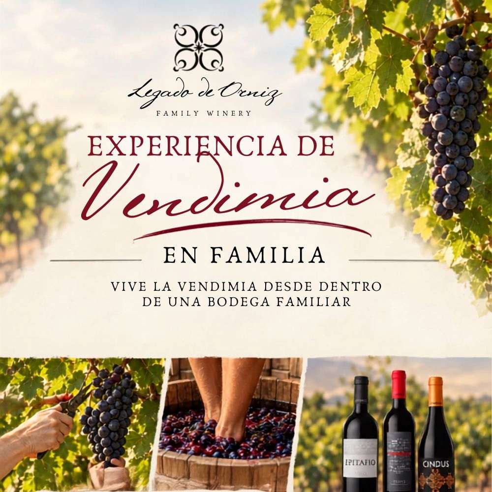Vendimia en familia en Bodegas Legado de Orniz: paseo, corte y pisado de uva
