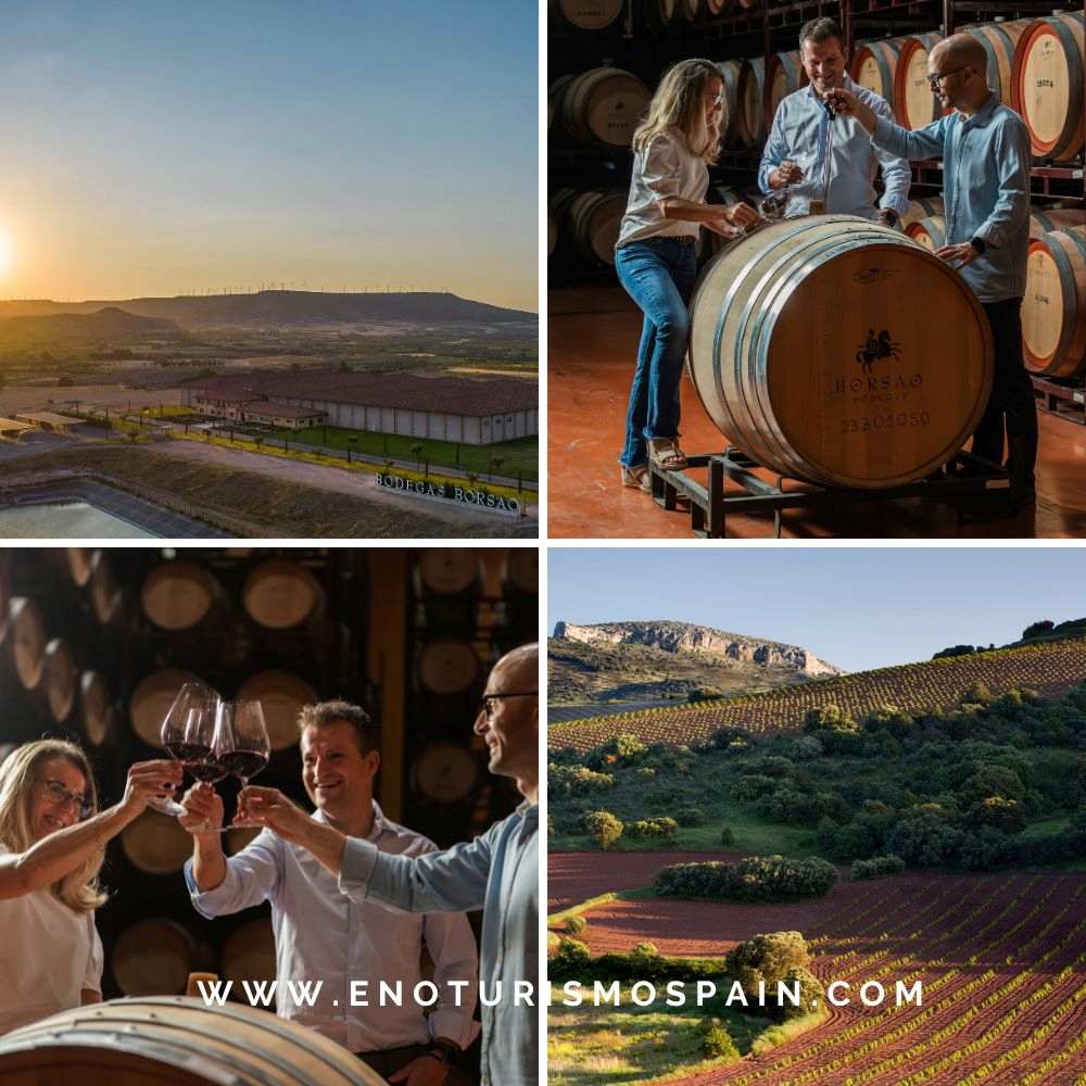 Sorteo de 3 visitas dobles a Bodegas Borsao