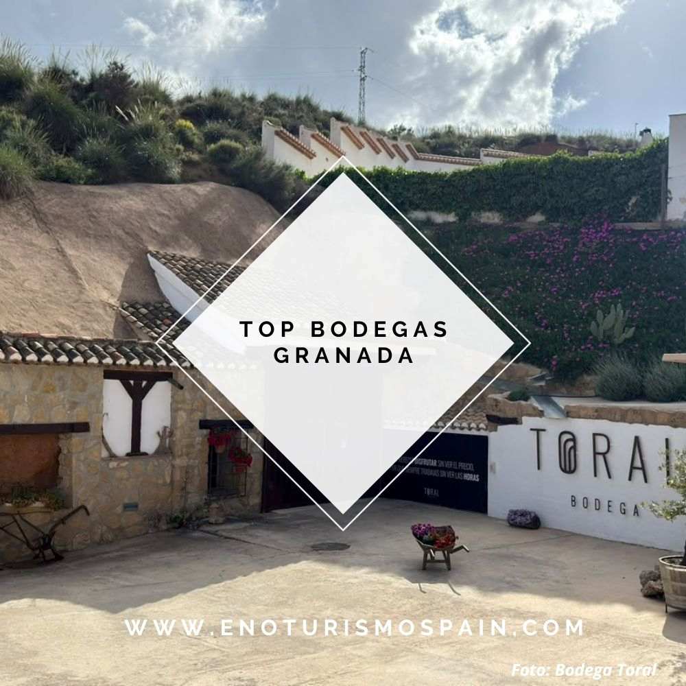 Enoturismo en Granada