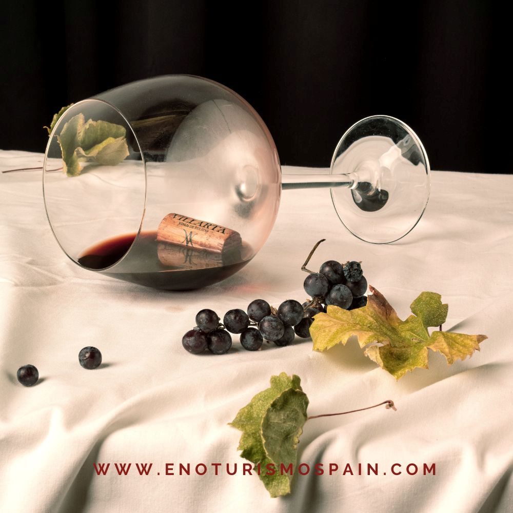Curso de fotografía en bodega: masterclass de bodegones con Allan Jenkins en Toledo