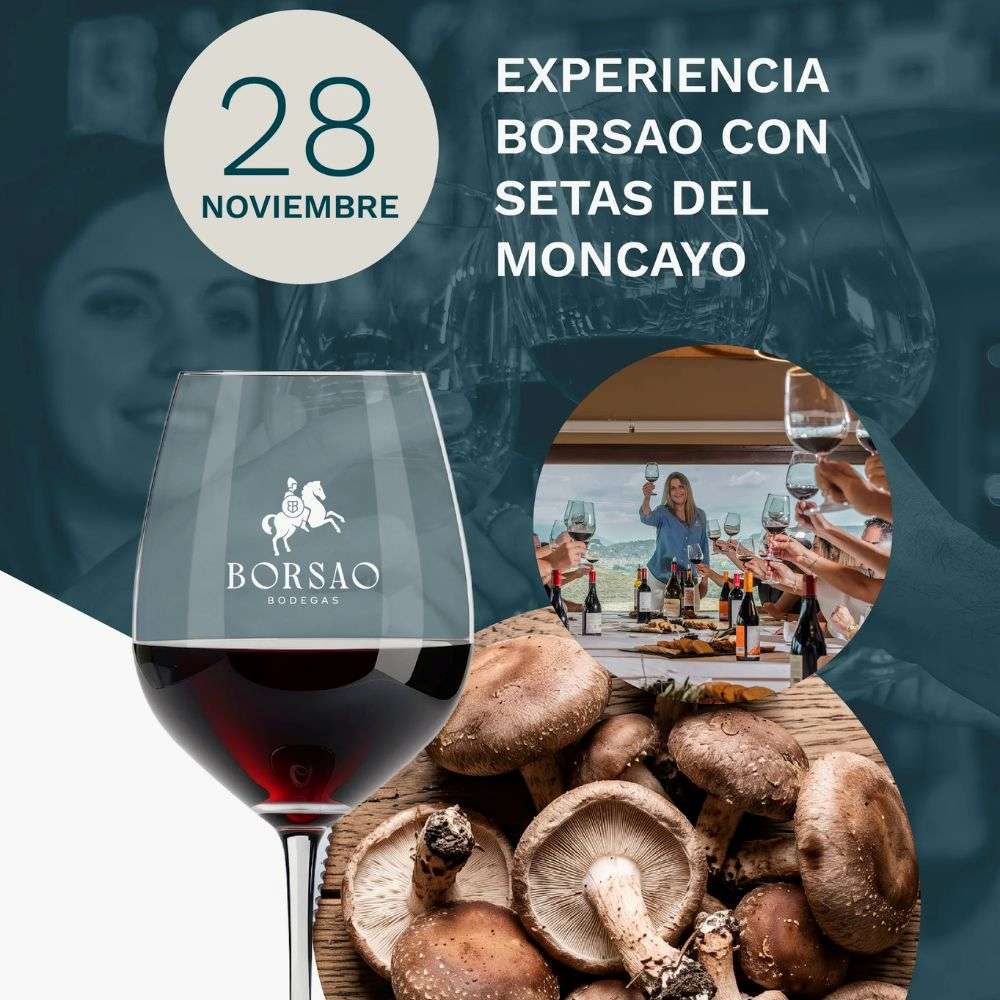 Micología del Moncayo y cata de vinos el 28 de noviembre en Borja