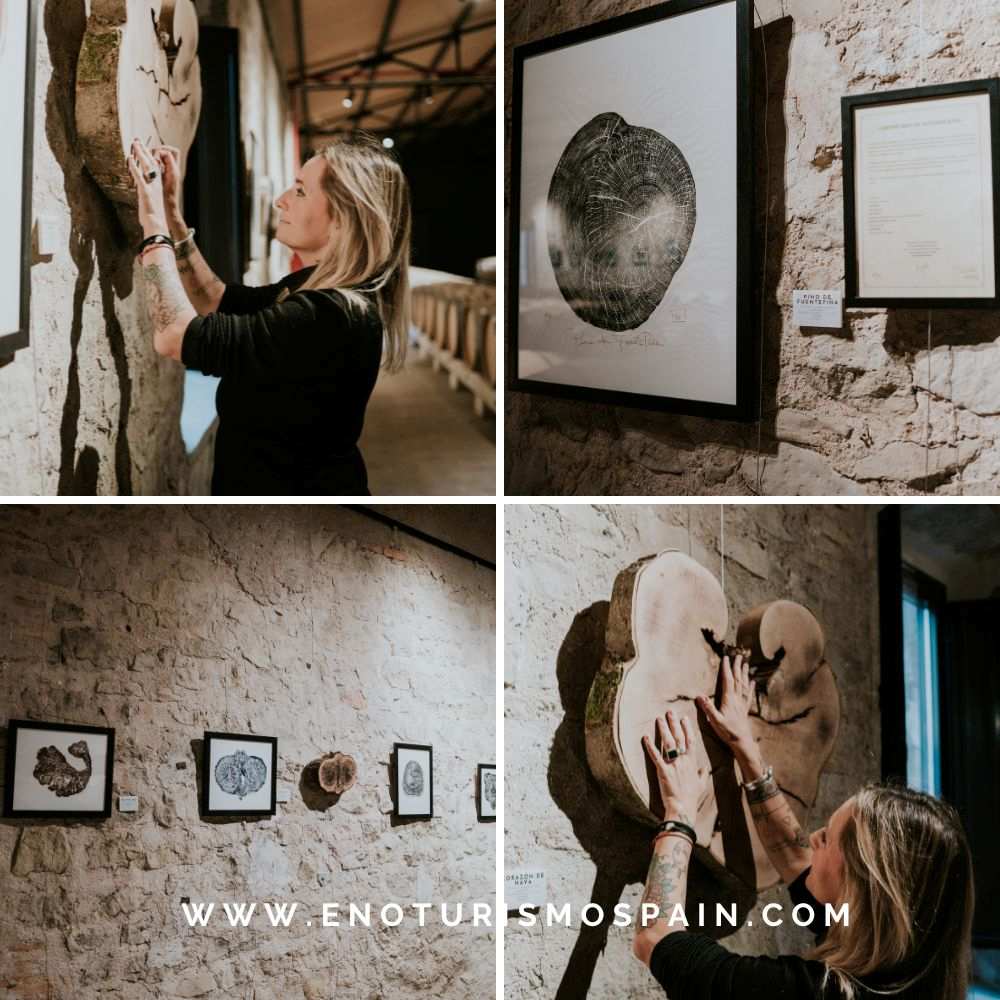 Natali Wood expone «Bosques de La Rioja» en Bodegas Franco-Españolas, en Logroño