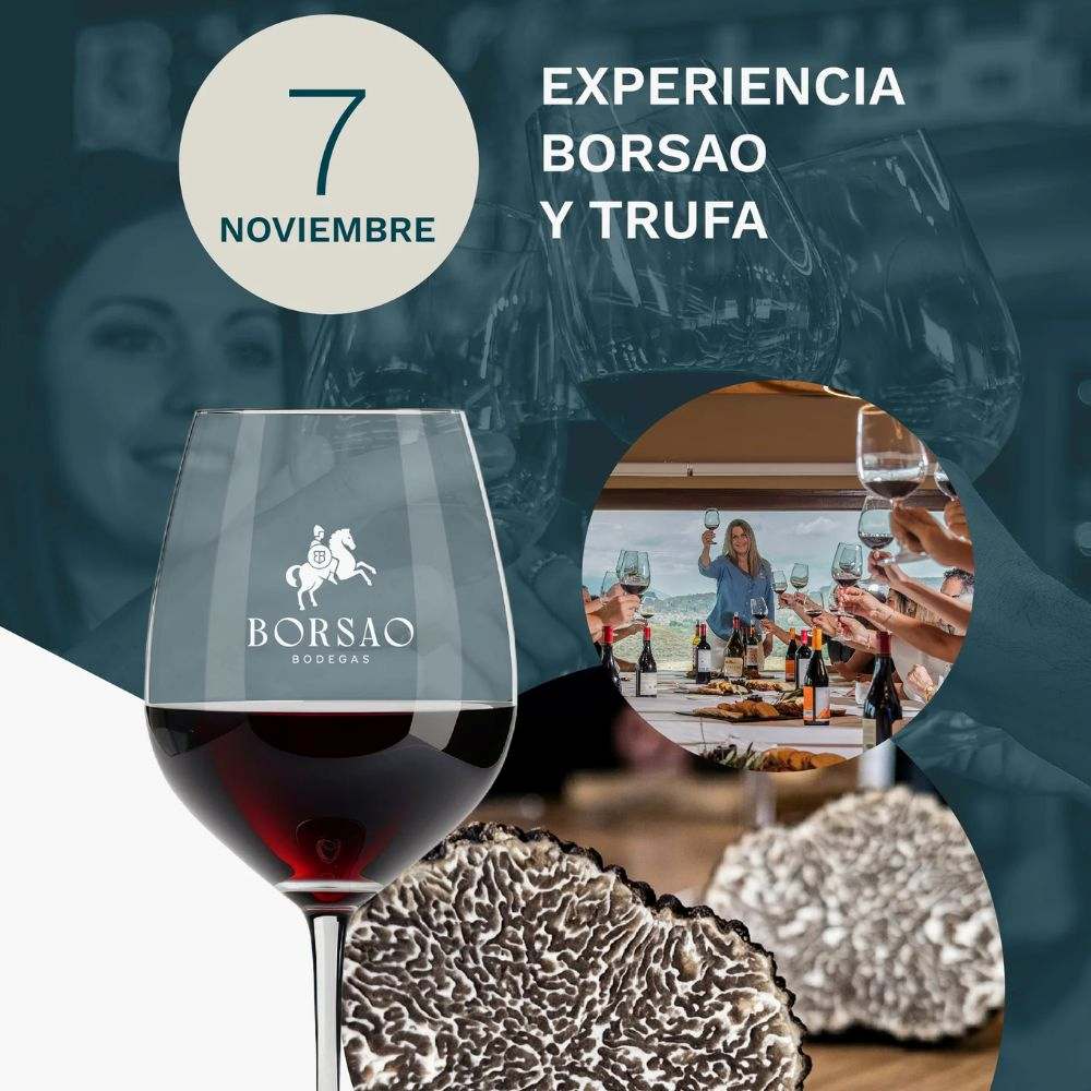 Cata de vinos y trufa negra de Aragón en Bodegas Borsao: truficultura y garnacha en Borja