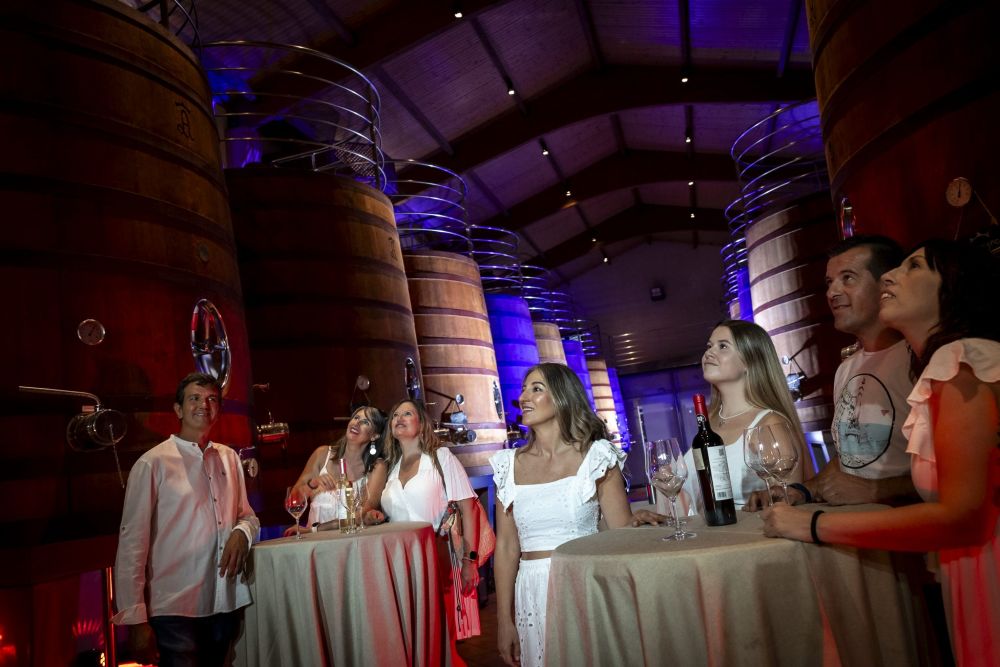 Visita Bodega Finca Los Aljibes