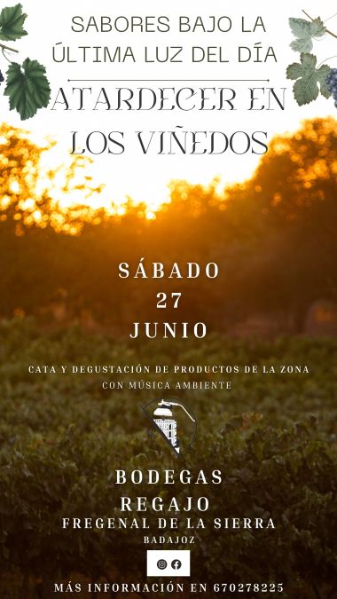 Atardecer en los Viñedos Bodegas Regajo Fregenal de la Sierra 27 junio 2026
