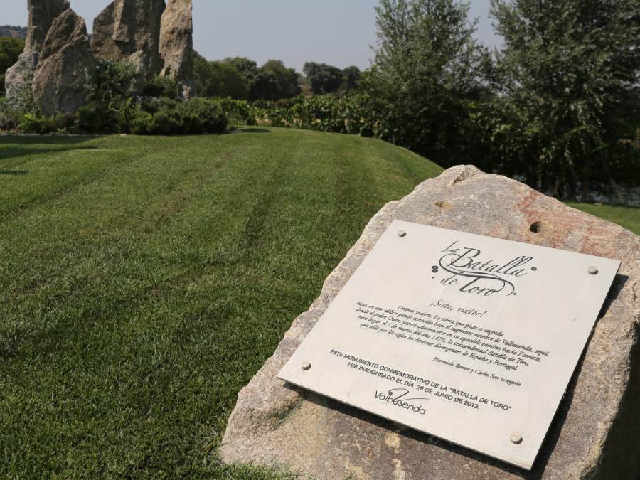 Batalla de Toro