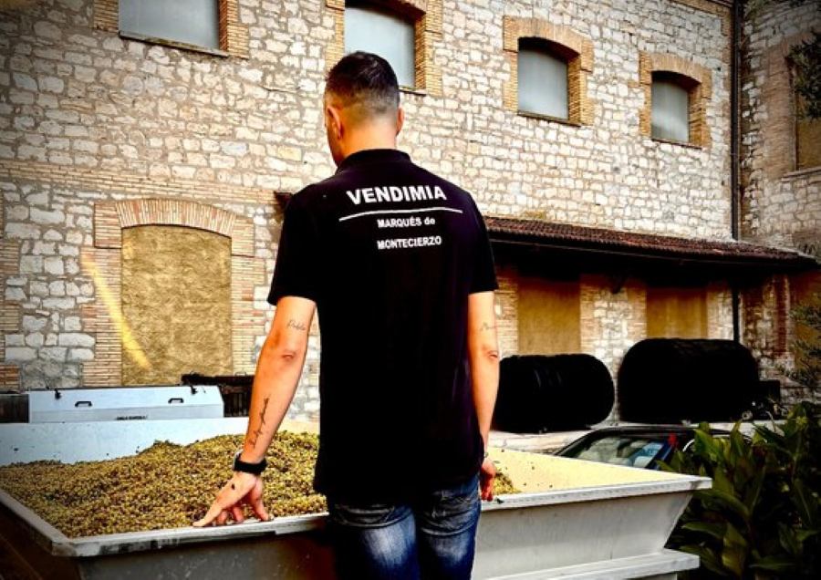 Vendimia 2026 en Bodega Marqu&eacute;s de Montecierzo, Castejón, Navarra