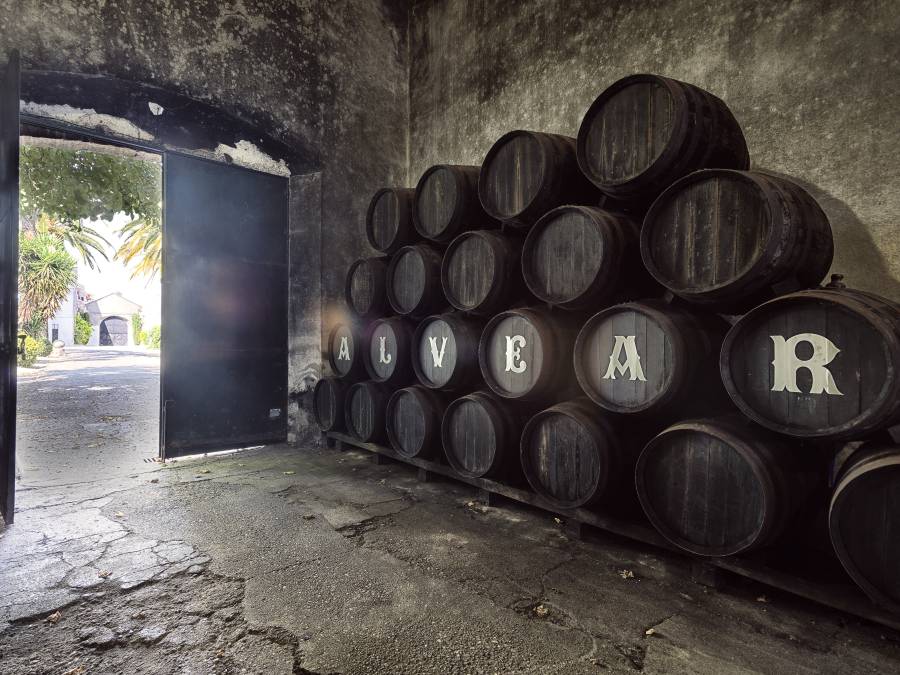 Pedro Xim&eacute;nez de Sacristía 1998