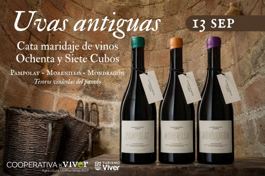 Cata Uvas Antiguas Cooperativa de Viver Castellón